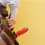 Handyman repair service in Richmond, VA for home fixes and improvements