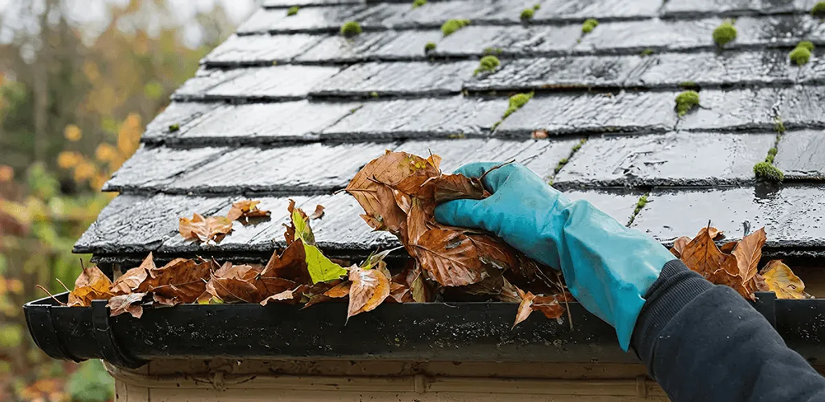 Gutter cleaning technician clearing wet leaves from roof gutters in Richmond, VA